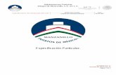 Administracion Portuaria Integral de Manzanillo, S.A. De C.V. PARTICULARES 19-13.pdfDe los levantamientos realizados en el día se hará el procesamiento de los datos dibujando planta,