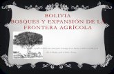 BOLIVIA BOSQUES Y EXPANSIÓN DE LA FRONTERA AGRÍCOLA · de vida de los más pobres considerando los servicios ambientales y l mitigación del cambio climático. ... Tarija 523 33.771
