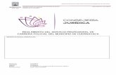 REGLAMENTO DEL SERVICIO PROFESIONAL DE CARRERA …marcojuridico.morelos.gob.mx/archivos/reglamentos_municipales/pdf/RCARRPCVAMO.pdfaprobación en Sesión de Cabildo, con la publicación