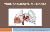 Probabilidad Clínica de Embolia Pulmonar Criterios de Wells · tromboembolismo pulmonar en pacientes ya anticoagulados, o trombos sépticos originados en la pelvis, que no responden