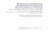 Aislamiento e identificación de Ascochyta phaseolorum ... · Aislamiento e identificación de Ascochyta phaseolorum proveniente de un cultivo de Sechium edule en Costa Rica Isolation