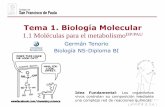 Tema 1. Biología Moleculardpbiologia.weebly.com/uploads/2/1/5/5/21553524/gtp...Tema 1. Biología Molecular 1.1 Moléculas para el metabolismoDP/PAU Idea Fundamental: Los organismos