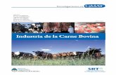 Industria de la Carne Bovina - Argentina.gob.arpublicaciones.srt.gob.ar/Publicaciones/2011/Carne_Bovina.pdfde la planta, de los trabajadores y la organización del trabajo. Los procesos
