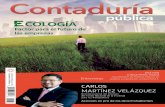 CARLOS - contaduriapublica.org.mxcontaduriapublica.org.mx/wp-content/uploads/2019/07/revista-julio-2019.pdf · Sergio Alberto Morales Zaldívar C.P.C. Alejandro Morán Sámano C.P.C.