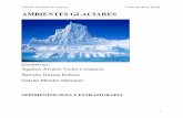 Sin título 4 - usuarios.geofisica.unam.mxusuarios.geofisica.unam.mx/cecilia/CT-SeEs/A1-Glaciares.pdf · casquete: enormes masas de hielo queno son afectadas por el paisaje y se extienden