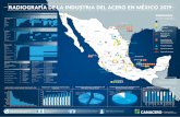 Radiografia de la Industria del Acero en Mexico 2019...P a l anqui l l a P l a c a (Hoja - Rollo ) Lámina C a lien t e Lámina Fría Lámina G a l v aniz a da C r om a da & Es t añ