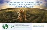 GUATEMALA EN EL CONTEXTO DELagromip.com.gt/ponencias /CONFERENCIAS SALON RUBI/4... · adecuado flujo de servicios ecosistémicos reducen la vulnerabilidad de la sociedad al cambio