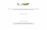 CAO - Auditoría de la Diligencia Debida de la CFI y …...CAO - Auditoría de la Diligencia Debida de la CFI y del OMGI en dos Plantas de Celulosa en Uruguay Informe Final Febrero