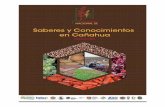 Saberes y Conocimientos en Cañahua - IICArepositorio.iica.int/bitstream/11324/3021/1/BVE17068937e.pdf · res agropecuarios, de origen aymara y quechua, con una formación académica