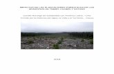 IMPACTOS DE LAS PLANTACIONES FORESTALES EN LOS … · 2019-06-05 · La intencionalidad del informe es contribuir al entendimiento de los conflictos socio-ambientales provocados por