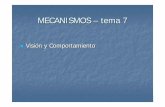 MECANISMOS – tema 7webs.ucm.es/centros/cont/descargas/documento15097.pdf · MECANISMOS – tema 7 ... Cilio de conexión Cono . Propiedad Receptores * Número de receptores por