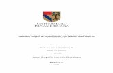 Juan Rogelio Loredo Mendozabiblio.upmx.mx/tesis/128618.pdf · 2011-12-08 · Ductos de Transporte de Hidrocarburos. Bienes inmuebles por su naturaleza, exégesis de su clasificación