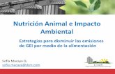 Nutrición Animal e Impacto Ambiental³n Animal 2016/fabricacionyalimentos... · Nutrición Animal e Impacto Ambiental Estrategias para disminuir las emisiones de GEI por medio de