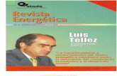 Organización Latinoamericana de Energíabiblioteca.olade.org/opac-tmpl/Documentos/hm000579.pdf · 2016-07-13 · Panarn~ reorganizó su sector eléc- trico creando cuatro empresas