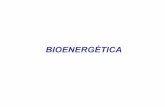 Bioenergética Bioq Plan Común 2010.ppt [Modo de ... · La Bioenergética, es el análisis cuantitativo de la forma en que los organismos adidquieren y utilizan la energía. Existen