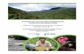 PREFACIO - Amazon S3 · deforestación y la degradación forestal (REDD), (4) implementar una estrategia de comunicaciones que sensibilice a la población y catalizar un cambio en