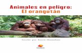 Animales en peligro: El orangután...Introducción En todo el mundo hay muchos animales en peligro de extinción. Según el Fondo Mundial para la Naturaleza (WWF, por sus siglas en