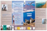 Campaña Chinijo 10 CONSEJOS para una visita responsable al ...awsassets.wwf.es/downloads/folleto_chinijo_definitivo1.pdf · de La Graciosa, los islotes de Alegranza y Montaña Clara,