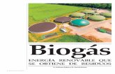 Biogás - WordPress.com · que se encuentra en cualquier biogás generado a partir de residuos que contengan azufre (ele-mento presente en proteínas, sulfato o sulfito), lo cual