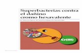 Superbacterias contra el dañino cromo hexavalente20 de maderas y en la producción de cemento y ta-biques. Si los desechos de cromo son manejados de manera inadecuada y descargados