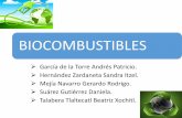 BIOCOMBUSTIBLES - UNAMdepa.fquim.unam.mx/amyd/archivero/Biocombustibles_32595.pdfa producir 5,543 millones de litros de biodiesel, considerando que existe 3,959,682 ha con potencial