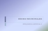 REDES NEURONALESvirtual.usalesiana.edu.bo/web/conte/archivos/4279.pdf · REDES NEURONALES La capacidad del ... Hebb (1949) Publica el libro "The organization of the Behavior" donde