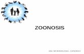 ZOONOSIS - Ingreso Medicina UBA · Parapoxvirus Ectima contagioso (Orf) X Phlebovirus Fiebre del valle del Rift X X X X Rhabdovirus Rabia X Prion Encefalitis espongiforme (var.C-J)