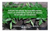 Estudio del efecto de bioestimulantes sobre el crecimiento radical … BIOESTIMULANTES EN TOMATE.pdf · 2011-12-04 · 1-BIOREND:Bioestimulante en base a un polímero natural derivado