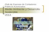 Ecología, Medio Ambiente y Desarrollo Sustentablecapsapanama.com/tesis27.pdf · 2018-03-16 · La ecología, el medio ambiente y el desarrollo sostenible, tienen como finalidad garantizar