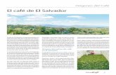 El café de El Salvador - Fórum Cultural del Café · empezó a cultivar en las tierras altas de los sistemas montañosos salvadoreños, bajo sombra de árboles de bosque natural,