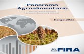 Panorama Agroalimentario Sorgo 2016 vf v3 - gob.mx · decremento de 19.1 por ciento en el consumo chino de sorgo para el ciclo comercial 2016/17, debido a la reducción de los precios