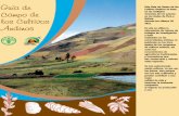 GUÍA DE CAMPO - keneamazon.net34. Principales enfermedades y plagas del lupino en Perú y Bolivia 102 35. Frutales nativos subtropicales importantes en los Andes del Perú 103 36.