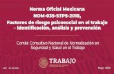 Norma Oficial Mexicana NOM-035-STPS-2018, Factores de ... · Los factores psicosociales en el trabajo consisten en interacciones entre el trabajador, su medio ambiente, la satisfacción