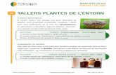 TALLERS PLANTES DE L’ENTORN - Montseny en Viu...plantes, amb propietats medicinals, curatives i altres usos. Ens endinsarem en el món de l ’etnobotànica, on aprendrem a identificar