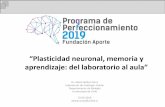 ^Plasticidad neuronal, memoria y aprendizaje: del ... · Dr. Alexia Núñez Parra Laboratorio de Fisiología Celular Departamento de Biología Universidad de Chile 25.04.2019 alexianunez@uchile.cl