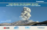 ERUPCIÓN DEL VOLCÁN UBINAS 2013-2014 · -El periodo de mayor actividad eruptiva se registró entre el 12 y 23 de abril 2014. -El área más afectada se encuentra dentro de un radio