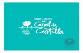AF folleto canal de castila v2El Canal de Castilla recorre 27,7 km. de la Ruta del Vino Cigales siendo un importante recurso enoturístico vinculado a la Denominación de Origen Cigales.