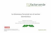 La biomasa forestal en el sector domésticoistas.net/descargas/1703090-Ponente_Roberto_de_Antonio.pdf · 2018-10-04 · El mayor reto al que se enfrenta el hombre en el siglo XXI