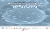 RESUMEN - segg.es · RESUMEN 01 Documento de Consenso sobre Prevención de Herpes Zóster y Neuralgia Post-Herpética ENERO 2014 OBJETIVOS E INTRODUCCIÓN Dr. Ramón Cisterna Cáncer,