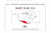 FAO - PERFILES NUTRICIONALES POR PAISES MÉXICObvssan.incap.int/local/file/PubNut-Perú/texcom/nutricion... · 2009-09-06 · Indicador (§) Año Unidad de medida Indicador (§) Año