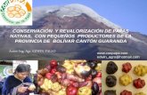 CONSERVACIÓN Y REVALORIZACIÓN DE PAPAS NATIVAS, …...El cultivo de papa en Bolívar es un rubro importante dentro de la economía y la alimentación de las familias. En el cantón