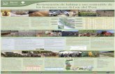 Restauración de hábitat y uso sostenible de los bosques secos … · 2009-02-20 · Chincha Alta Ica Nazca Restauración de hábitat y uso sostenible de los bosques secos del sur