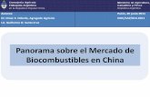 Biocombustibles en China · 2011-06-20 · •Moratoria (2007) para la producción de biocombustibles a partir de alimentos. (se prioriza la política de autosuficiencia alimentara)