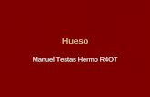 Hueso - randy08.files.wordpress.com · Homeostasis del mineral Hematopoyesis Soporte mecanico Proteccion Determinacion de tributos corporales • Tejido conectivo mineralizado. Tipos