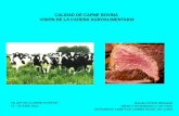 CALIDAD DE CARNE BOVINA VISIÓN DE LA CADENA … · 2016-04-11 · BEATON (1958) dice que el carnicero es "él arbitro en la calidad de la canal". PEARSON (1960) describió la calidad