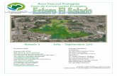 Área Natural Protegida Zona de Conservación Ecológicaesterodelsalado.org/pdf/2011/BOLETIN_EL_SALADO... · cadenas de alimentación, conocidas como cadenas tróficas. Actualmente