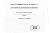 Repositorio CICY: Página de inicio - Mérida, Yucatán, México · 2017-09-18 · Centro de Investigación Científica de Yucatán, A. C. Repercusiones del control poscosecha de