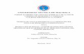 Repositorio Digital de la UTMACH: Página de inicio - …repositorio.utmachala.edu.ec/bitstream/48000/2798/3... · 2018-03-29 · La digestión anaerobia de desechos orgánicos provenientes