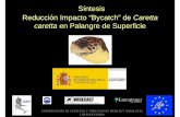 Síntesis Reducción Impacto “Bycatch” de Caretta caretta en … · 2018-01-12 · Datos de 102 embarques (2 observadores IEO) Datos de 1546 embarques – base de datos (1999
