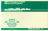 la edición de las Monografías Municipales es un esfuerzo pormonografiasmexiquenses.mx/kiosco/pdf/Capulhuac_1985.pdf · 2017-12-13 · La información bibliográfica y documental